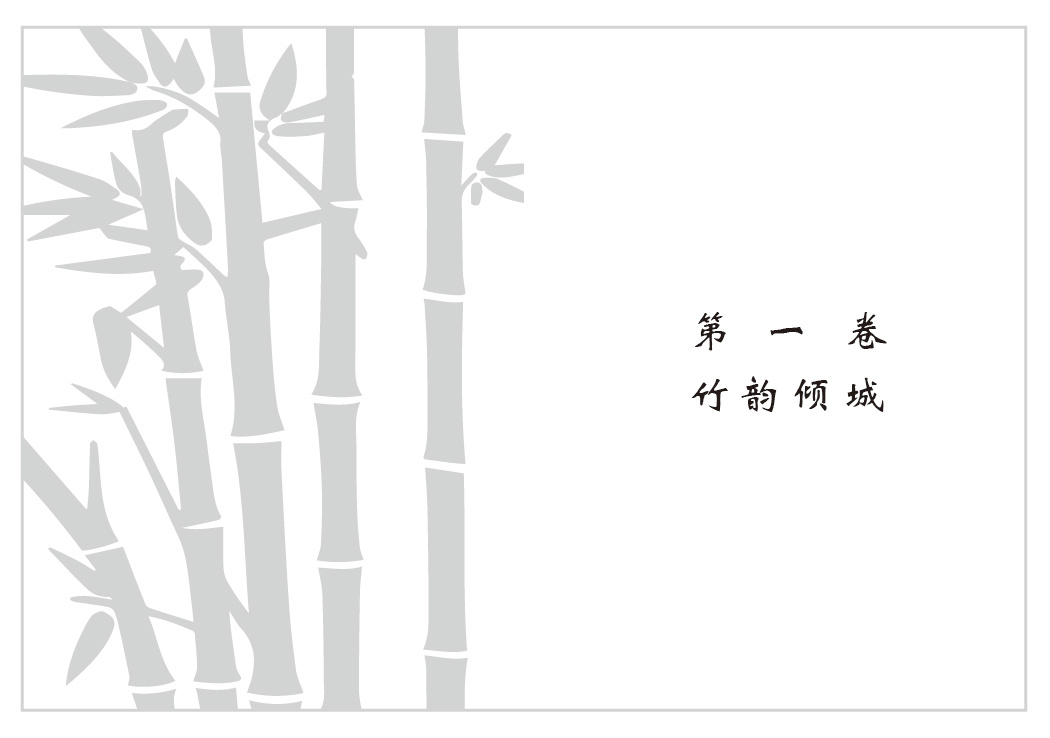 书籍设计系列版面 5