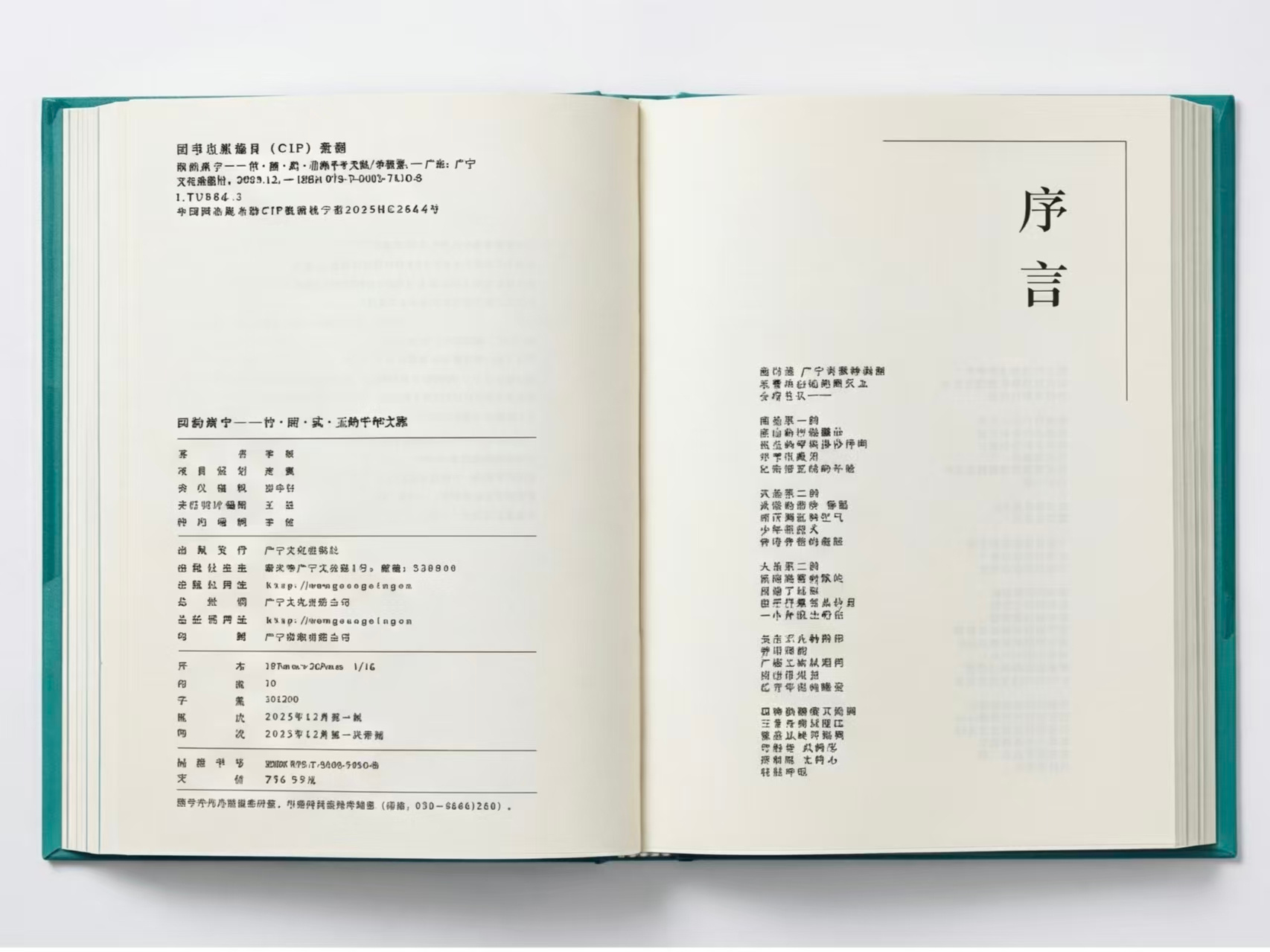 书籍设计系列版面 11