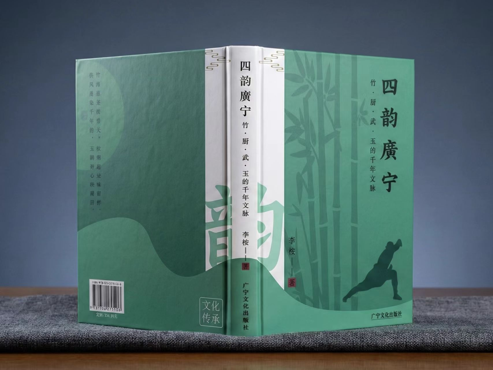 书籍设计系列版面 13
